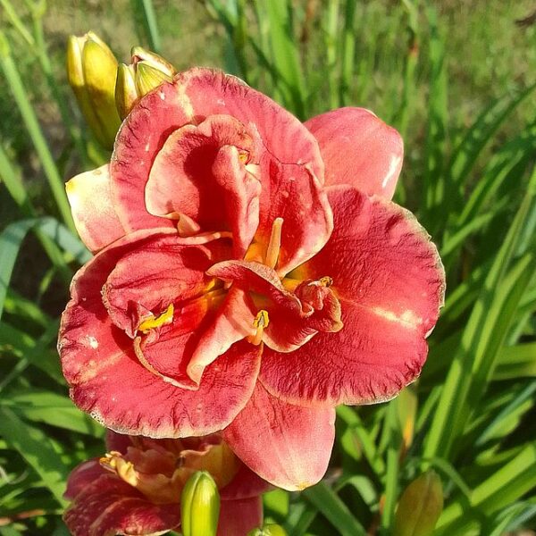 TWO TO TANGO